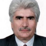 تصویر دکتر علی ملک محمدی