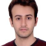 تصویر دکتر علی محمدی النجقی