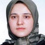 تصویر دکتر فریده ابراهیمی