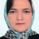 تصویر دکتر زهره شهیدی