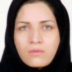 تصویر دکتر فاطمه احمدی