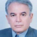 تصویر دکتر حسین مرتضوی مهدی آبادی