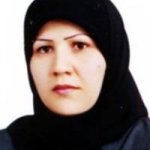 تصویر دکتر افتخار السادات نقوی