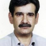 تصویر دکتر سعید مدنی