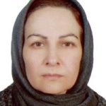 تصویر دکتر سیده معصومه ترابی