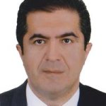 تصویر دکتر سعید صنعتی