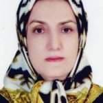 تصویر دکتر شهزاد مرادی