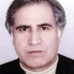تصویر دکتر محمدرضا شاهرخی