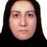 تصویر دکتر میرزاده موسوی شبستری