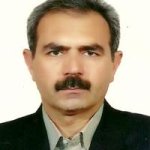 تصویر دکتر ناصر حسین پورکفش دوزثانی
