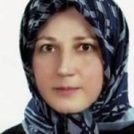 تصویر دکتر گیتی رافعی