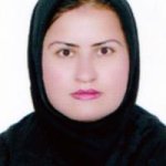 تصویر دکتر سیده زرین ضرابی نیا
