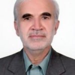 تصویر دکتر محمدرضا سبط الشیخ انصاری