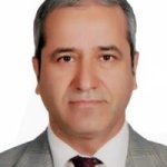 تصویر دکتر ناصر مهاجرانی