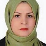 تصویر دکتر روح انگیز فولادی