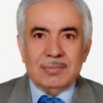تصویر دکتر سیدمحمد حسن زاده شیرازی