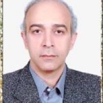 تصویر دکتر محسن برزگرمروستی
