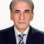 تصویر دکتر بهزاد برومند