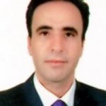 تصویر دکتر ایرج برقی