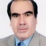 تصویر دکتر نصرت اله شاملورضائی
