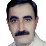 تصویر دکتر محمدحسین مسگرزاده