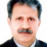 تصویر دکتر مرتضی شیبانی فرد
