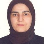 تصویر دکتر نسرین بازرگان هرندی