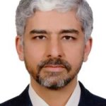 تصویر دکتر سیدمجتبی اسماعیلی فر