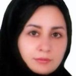 تصویر دکتر حمیده السادات میرمحمدی
