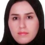 تصویر دکتر شیوا حسین پور