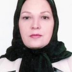 تصویر دکتر منظر شیبانی