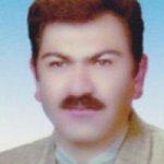 تصویر دکتر شهرام ممدوحی