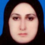 تصویر دکتر ارزو جامکی