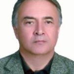 تصویر دکتر محمدفواد معدل شهیدی