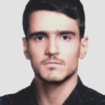 تصویر دکتر رسول میرزائی