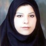 تصویر دکتر مینا نوروزی خلیلی