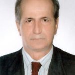 تصویر دکتر بهاءالدین معتمدی