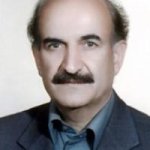تصویر دکتر حسین امامی شهری