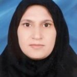 تصویر دکتر نسرین کوکبی