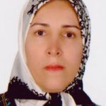 تصویر دکتر مهناز رضایی