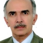 تصویر دکتر سیامک شکیبی