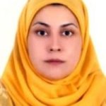 تصویر دکتر نازنین ضیاءشیخ الاسلامی