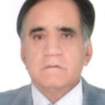 تصویر دکتر سیدمحمدمهدی حسینی