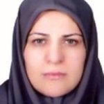 تصویر دکتر نازنین شلماشی