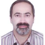 تصویر دکتر مجتبی شجاعی باغینی