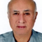 تصویر دکتر محمود فتوحی