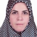 تصویر دکتر مهناز حمیدی