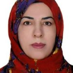 تصویر دکتر نسرین شیخلو