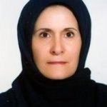 تصویر دکتر شهین دولیان