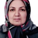 تصویر دکتر فاطمه ملک نژادیزدی